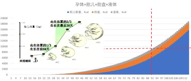 微信截图_20240623173852